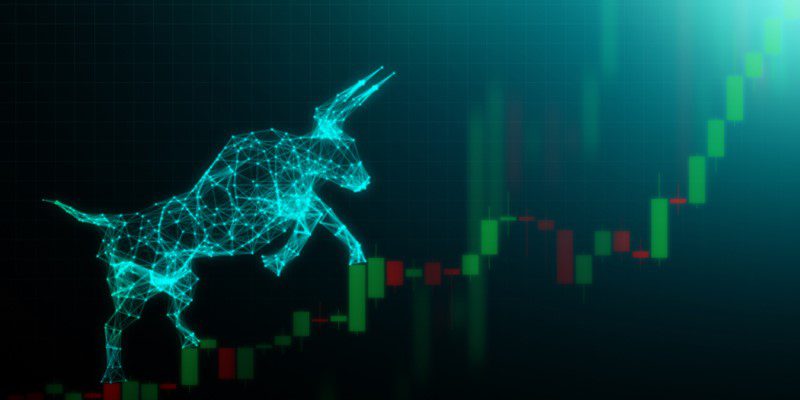 What is Crypto Bull Market?