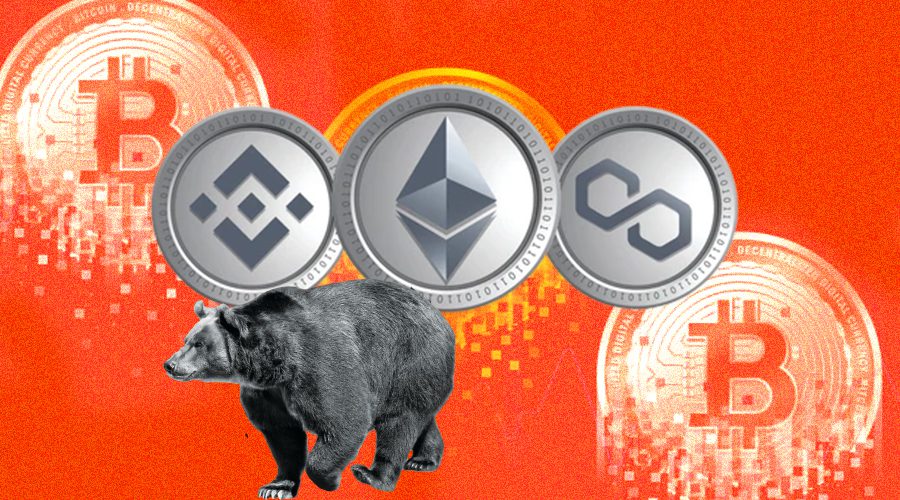 How to Avoid Crypto Bear Market Mistakes and Be Ready for the Next Bull Run