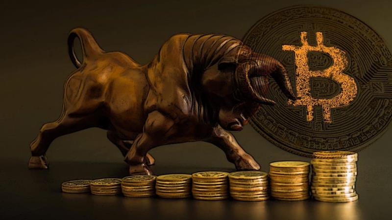 5 Important Tips To Become a Millionaire in Next crypto Bull Run
