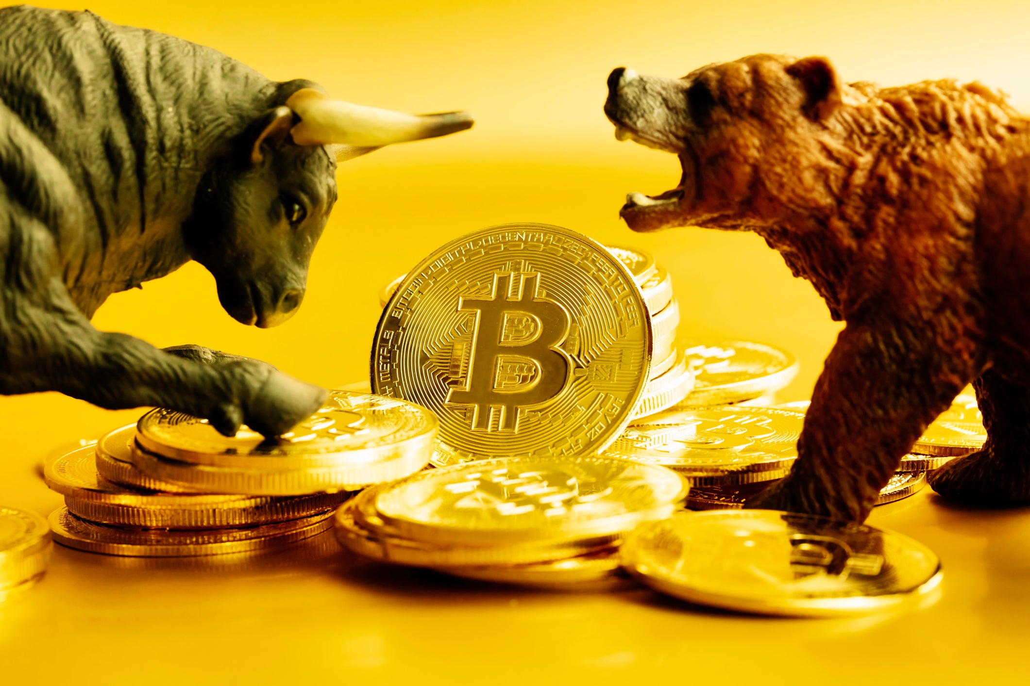10 Reasons to Be Bullish on Bitcoin